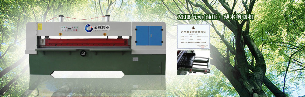 二十次全國代表大會